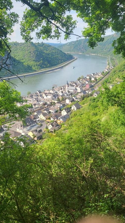 Ferienwohnung Zum Rheinblick Kestert Zewnętrze zdjęcie
