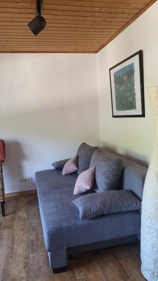 Ferienwohnung Zum Rheinblick Kestert Zewnętrze zdjęcie
