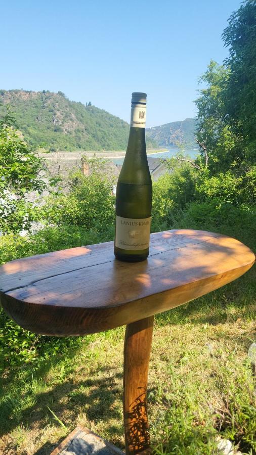 Ferienwohnung Zum Rheinblick Kestert Zewnętrze zdjęcie